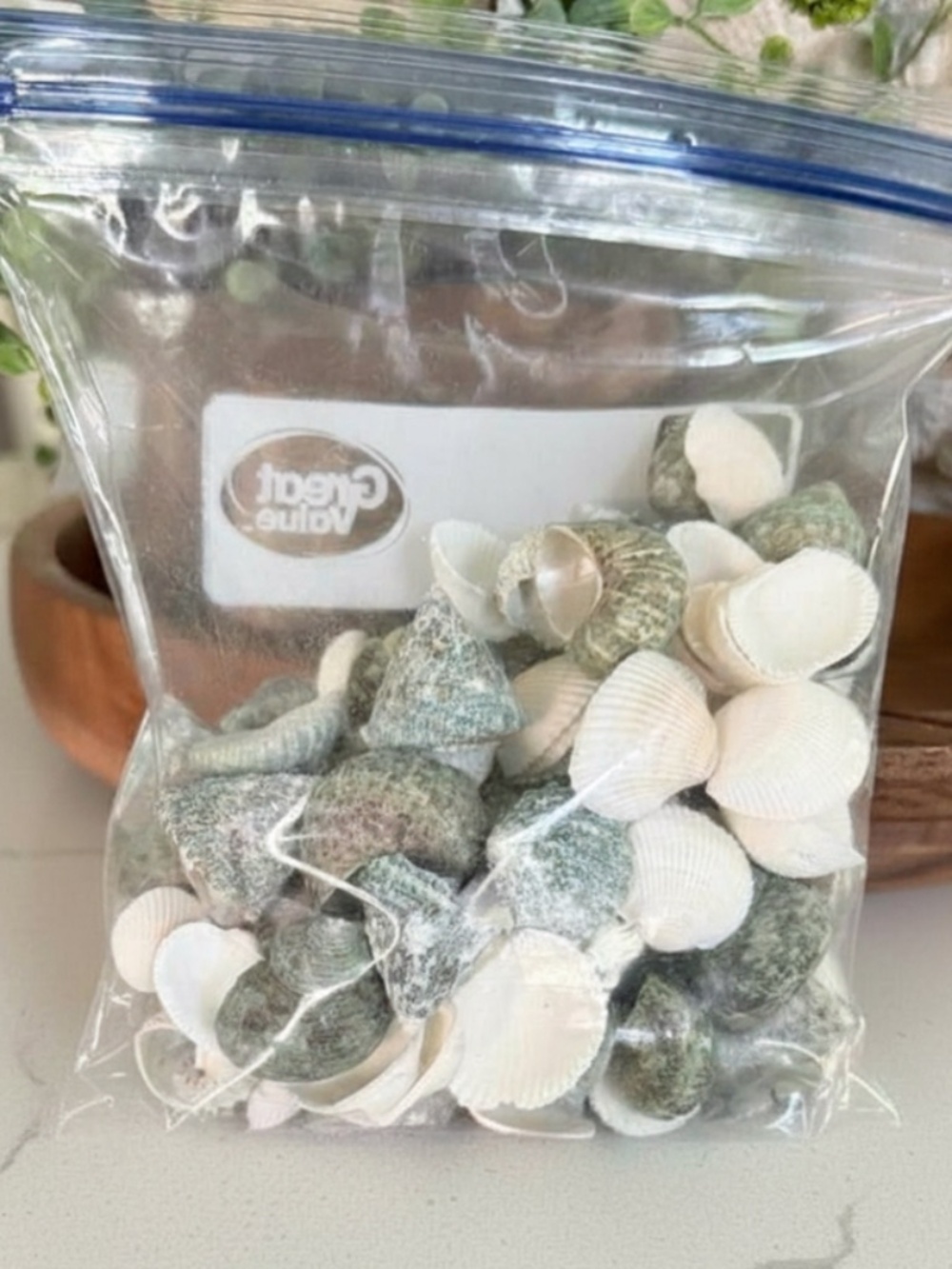 Assorted Natural Sea Shells - Picture 4 of 4